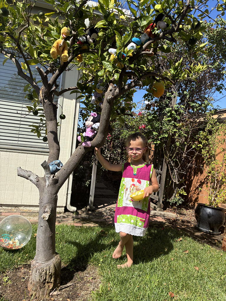 Tree play moment at Soil and Sky
